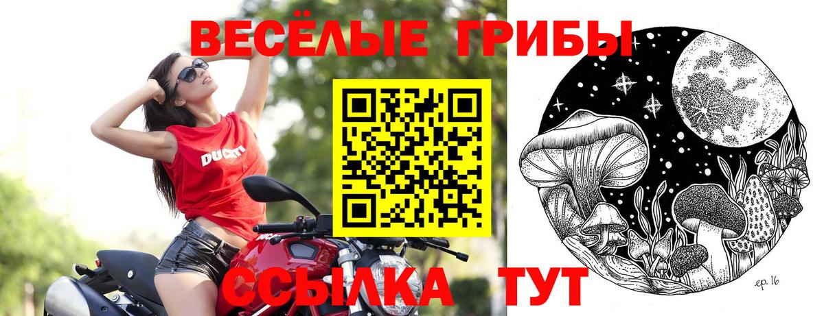 Амурск  Галлюциногенные грибы Cubensis  Вход с VPN  Псилоцибиновые грибы MAGIC MUSHROOMS 