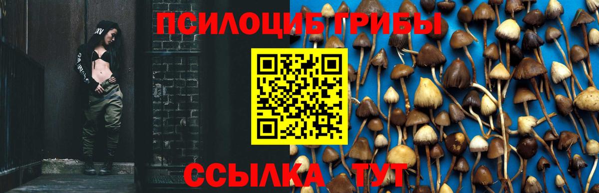 Псилоцибиновые грибы мицелий Амурск